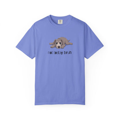 Irish Wolfhound Not Today Bruh T-Shirt