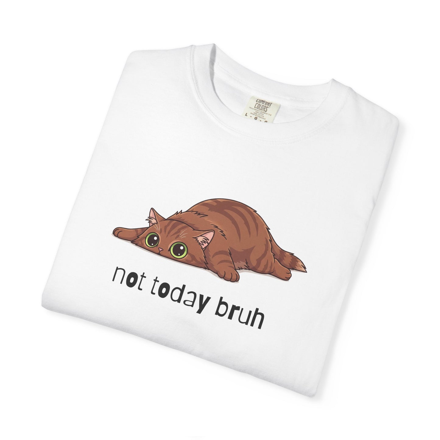 Long hair brown cat Not Today Bruh T-Shirt