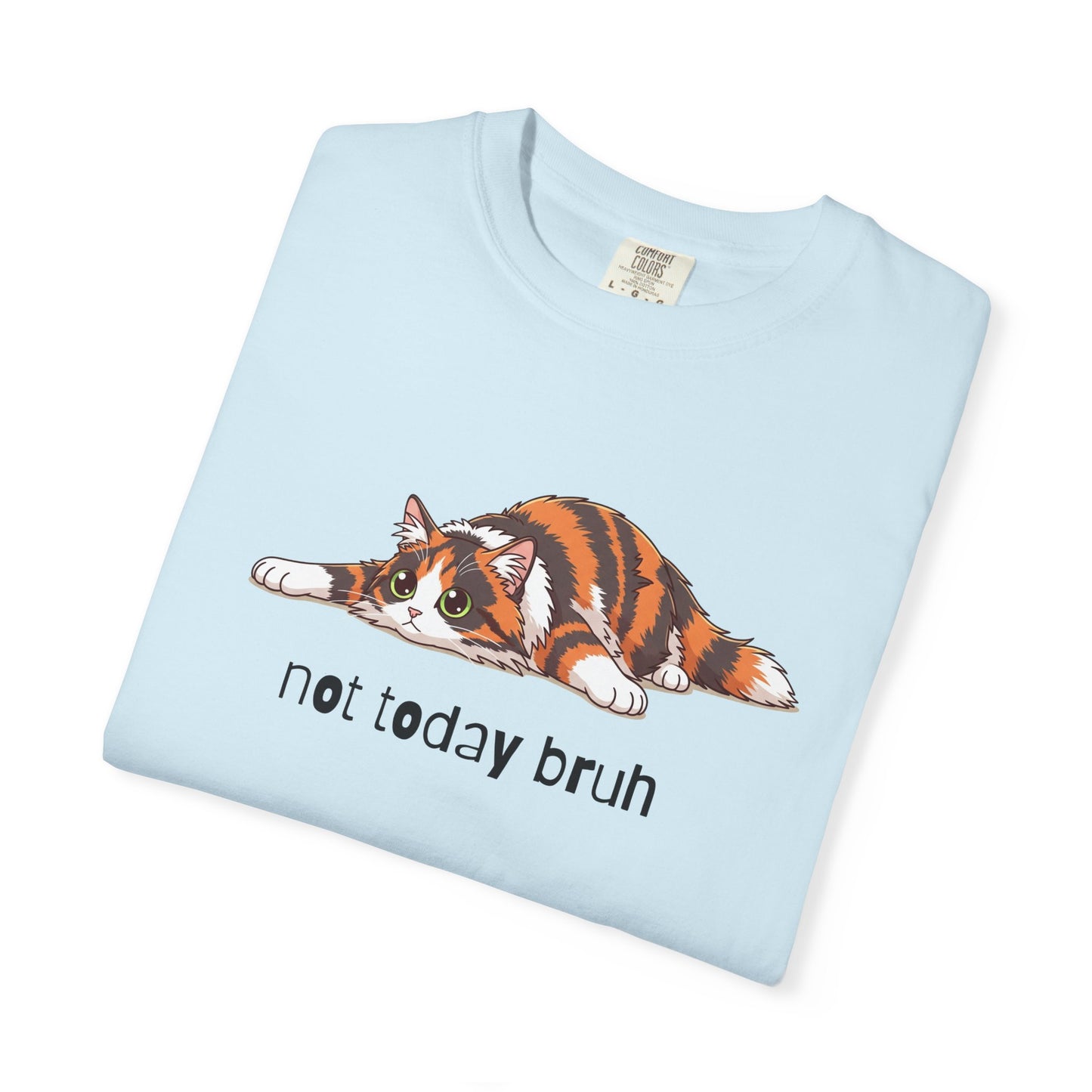 Long hair tortoiseshell cat Not Today Bruh T-Shirt