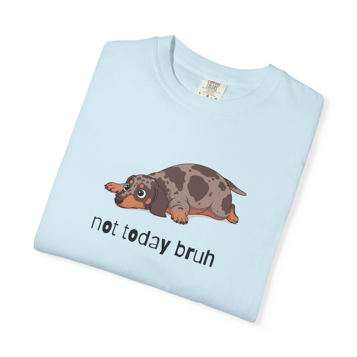 Dacshund Not Today Bruh T-Shirt
