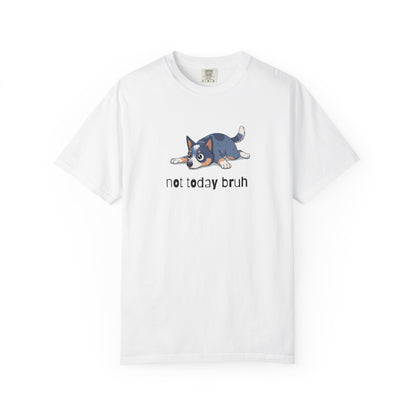 Blue Heeler Not Today Bruh T-Shirt