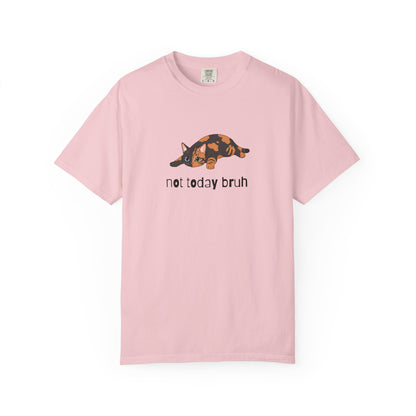 Short hair chimera cat Not Today Bruh T-Shirt
