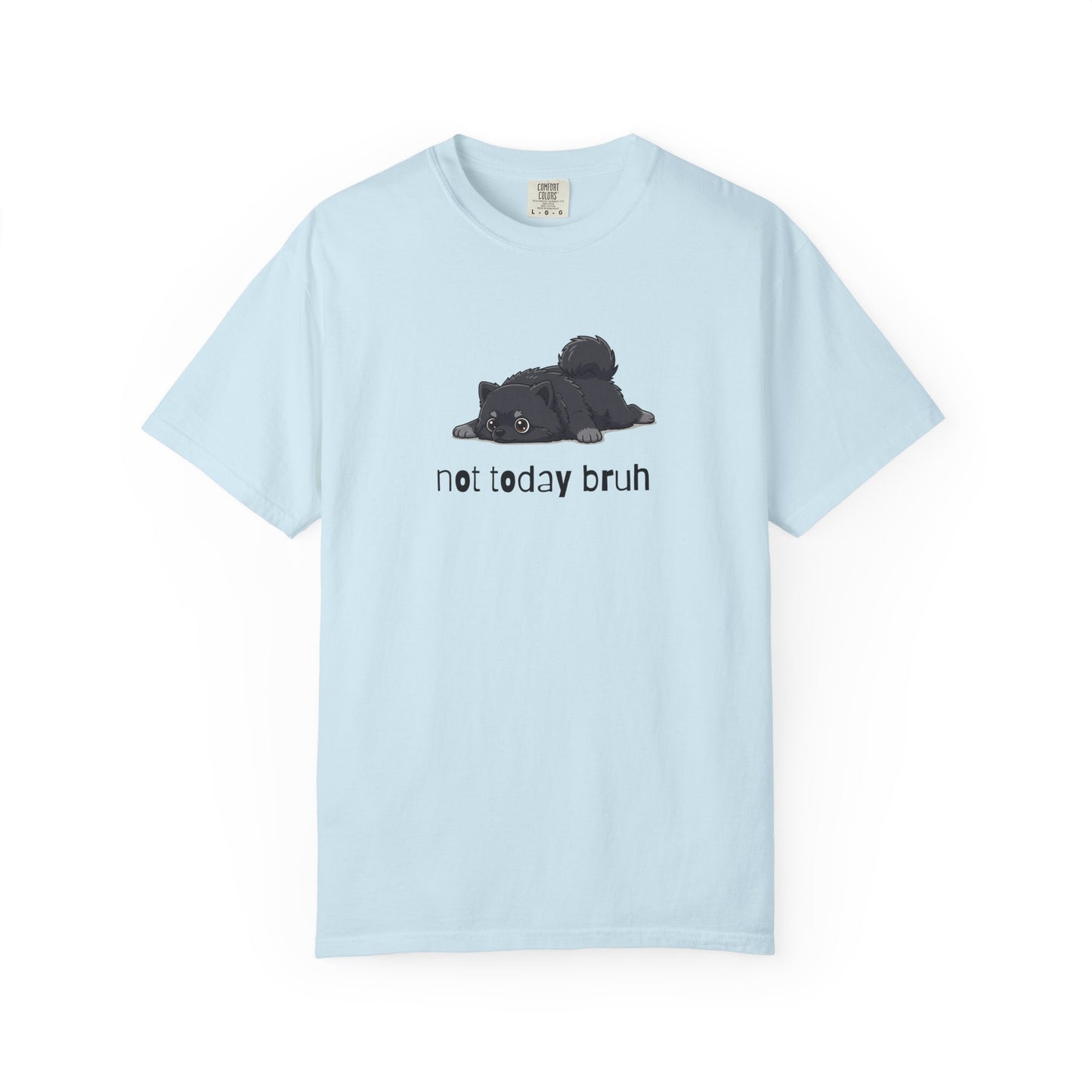 Pomeranian Not Today Bruh T-Shirt