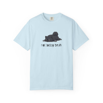 Pomeranian Not Today Bruh T-Shirt