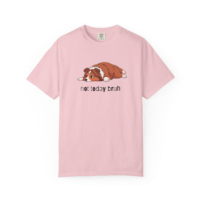 Sheltie Not Today Bruh T-Shirt