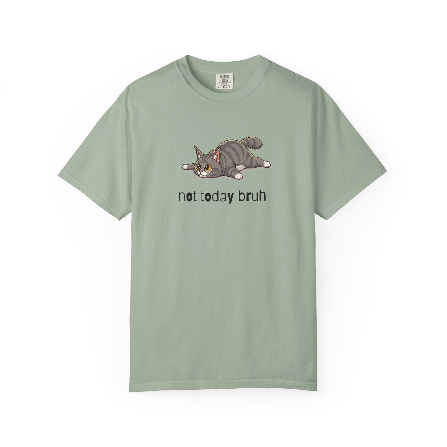 Maine Coon Not Today Bruh T-Shirt