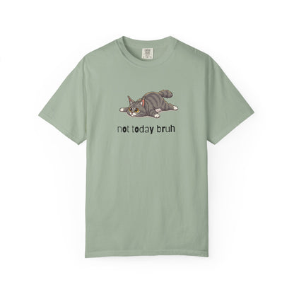 Maine Coon Not Today Bruh T-Shirt