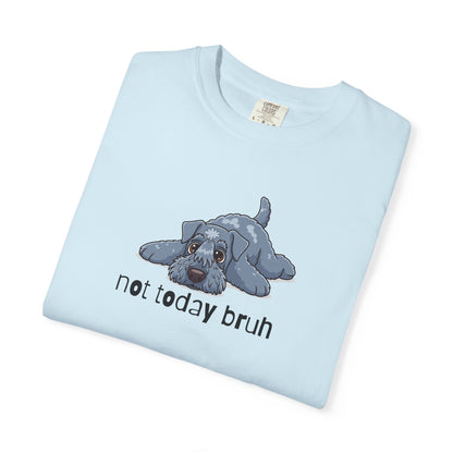 Kerry Blue Not Today Bruh T-Shirt