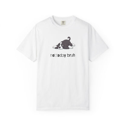 Spaniel Not Today Bruh T-Shirt
