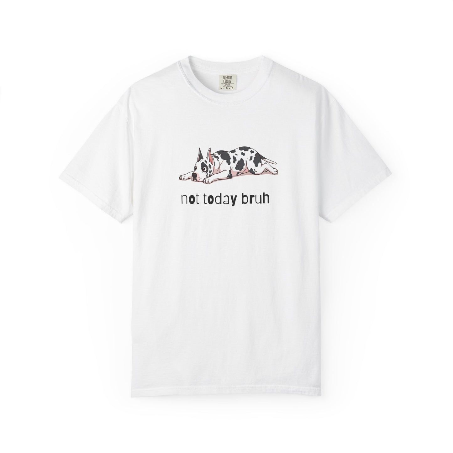 Great Dane Not Today Bruh T-Shirt