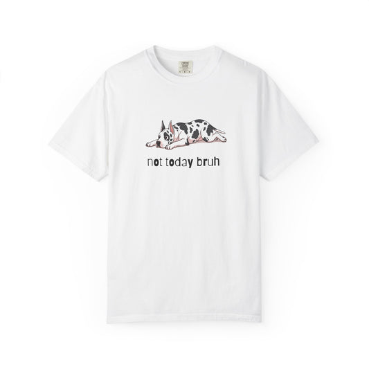 Great Dane Not Today Bruh T-Shirt