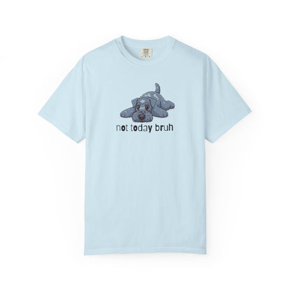 Kerry Blue Not Today Bruh T-Shirt