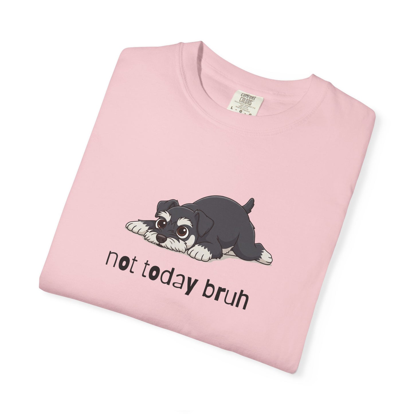 Schnauzer Not Today Bruh T-Shirt