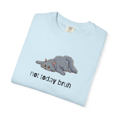 Long hair gray cat Not Today Bruh T-Shirt