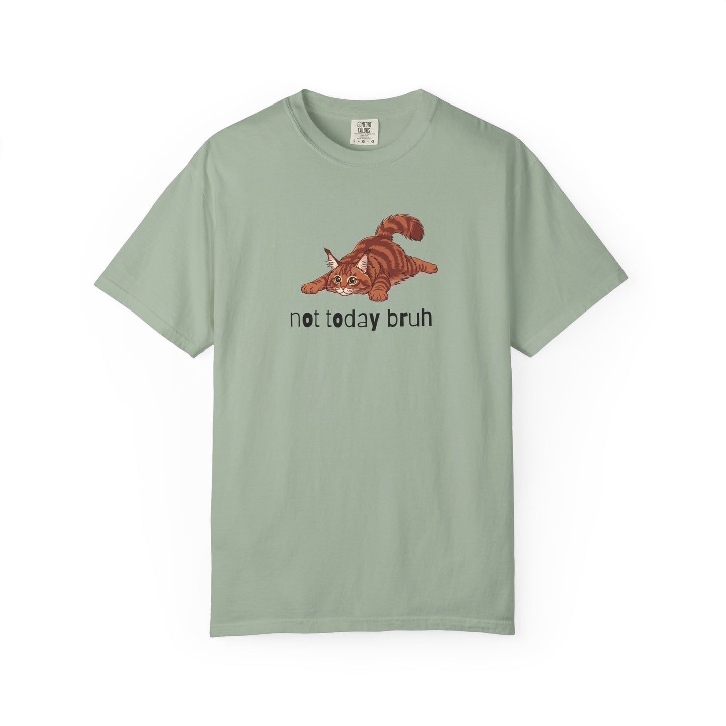 Maine Coon Not Today Bruh T-Shirt