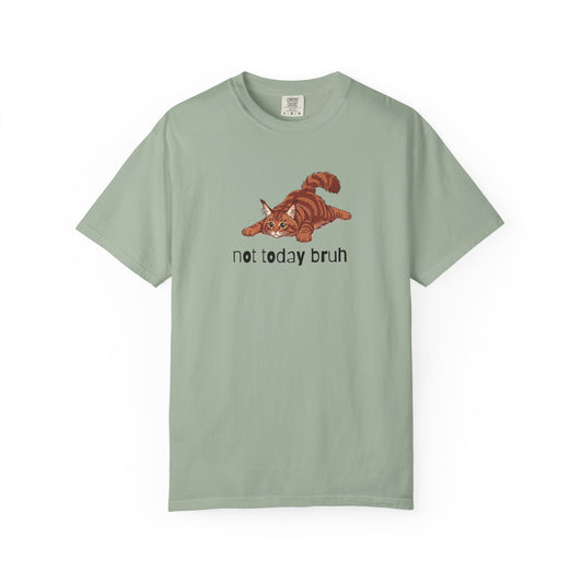 Maine Coon Not Today Bruh T-Shirt