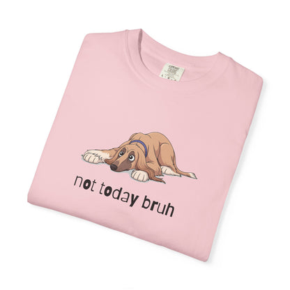 Afghan Hound Not Today Bruh T-Shirt