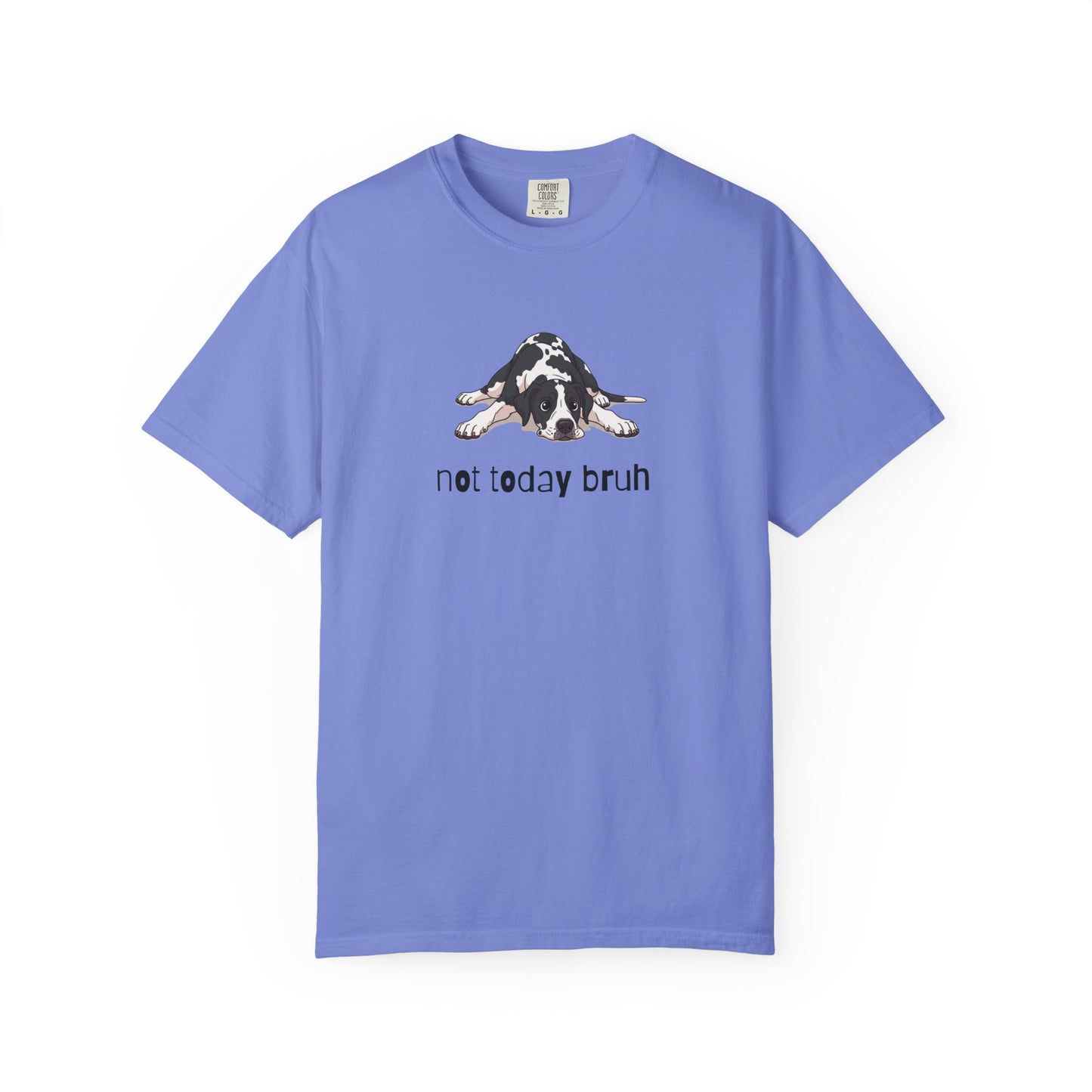 Great Dane Not Today Bruh T-Shirt