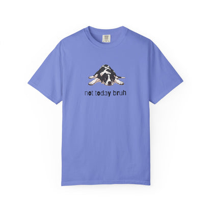 Great Dane Not Today Bruh T-Shirt