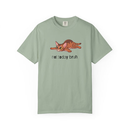 Abyssinian Not Today Bruh T-Shirt