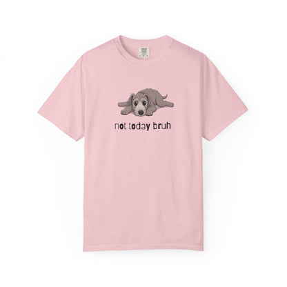Irish Wolfhound Not Today Bruh T-Shirt