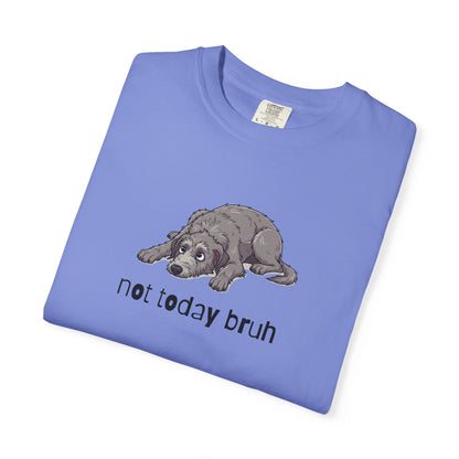 Scottish Deerhound Not Today Bruh T-Shirt