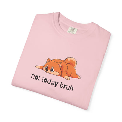 Pomeranian Not Today Bruh T-Shirt