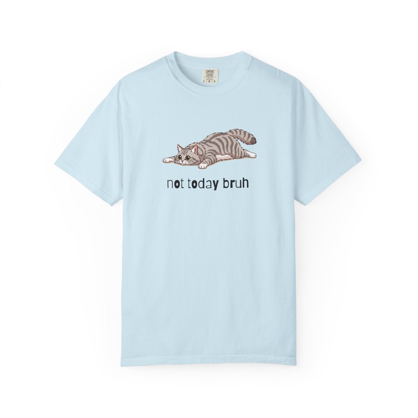 Long hair silver tabby cat Not Today Bruh T-Shirt