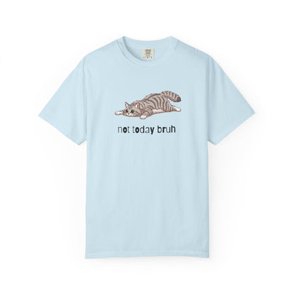 Long hair silver tabby cat Not Today Bruh T-Shirt