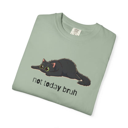 Long hair black cat Not Today Bruh T-Shirt