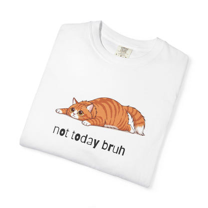 Long hair orange cat Not Today Bruh T-Shirt