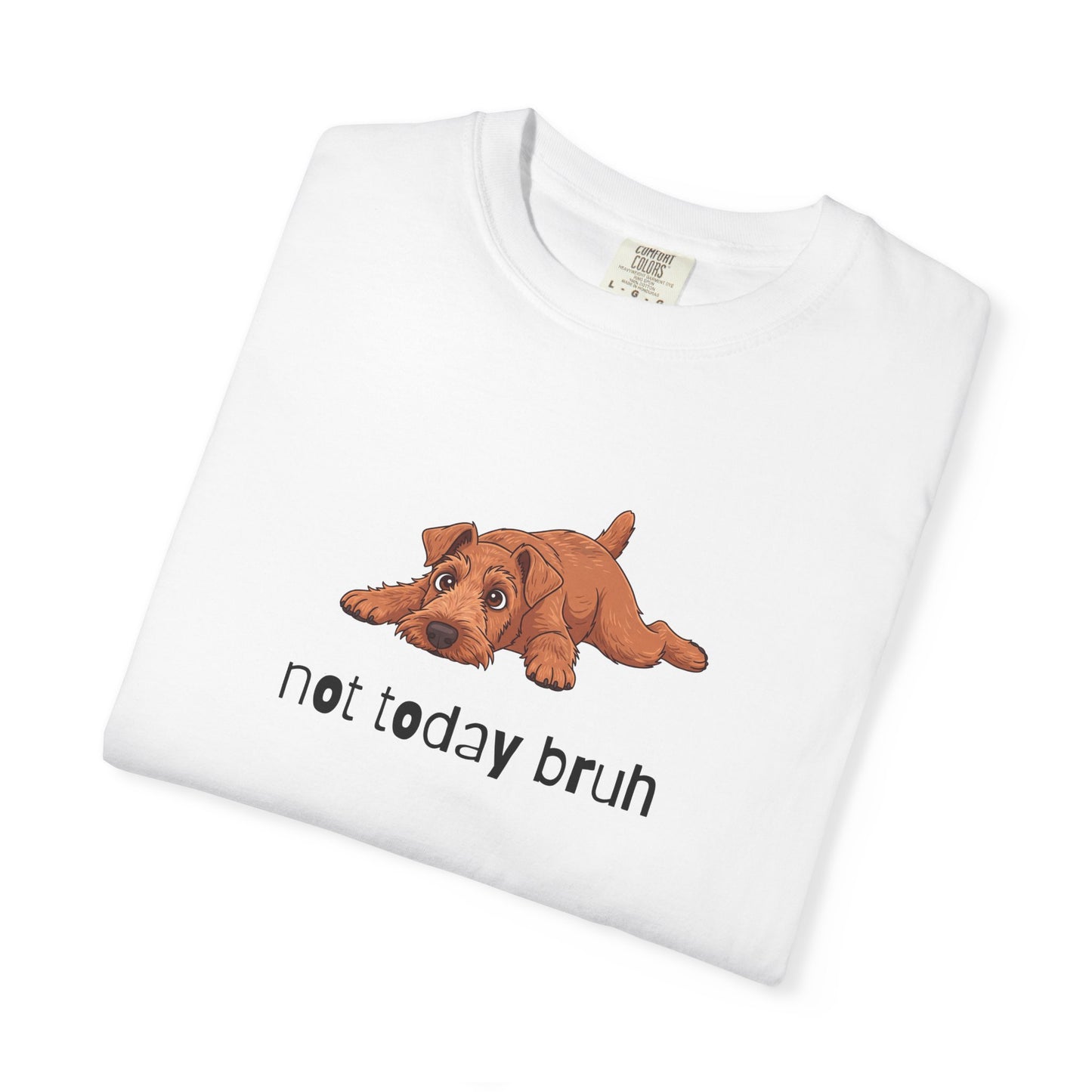 Irish Terrier Not Today Bruh T-Shirt