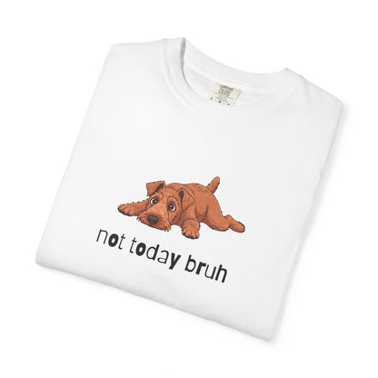 Irish Terrier Not Today Bruh T-Shirt