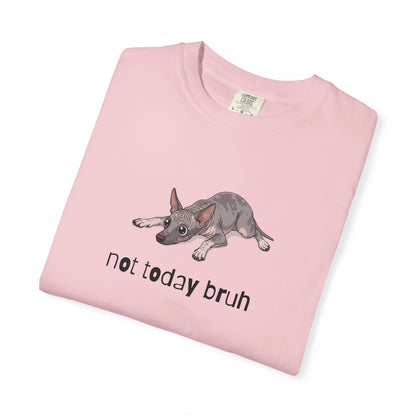 Hairless Dog Not Today Bruh T-Shirt