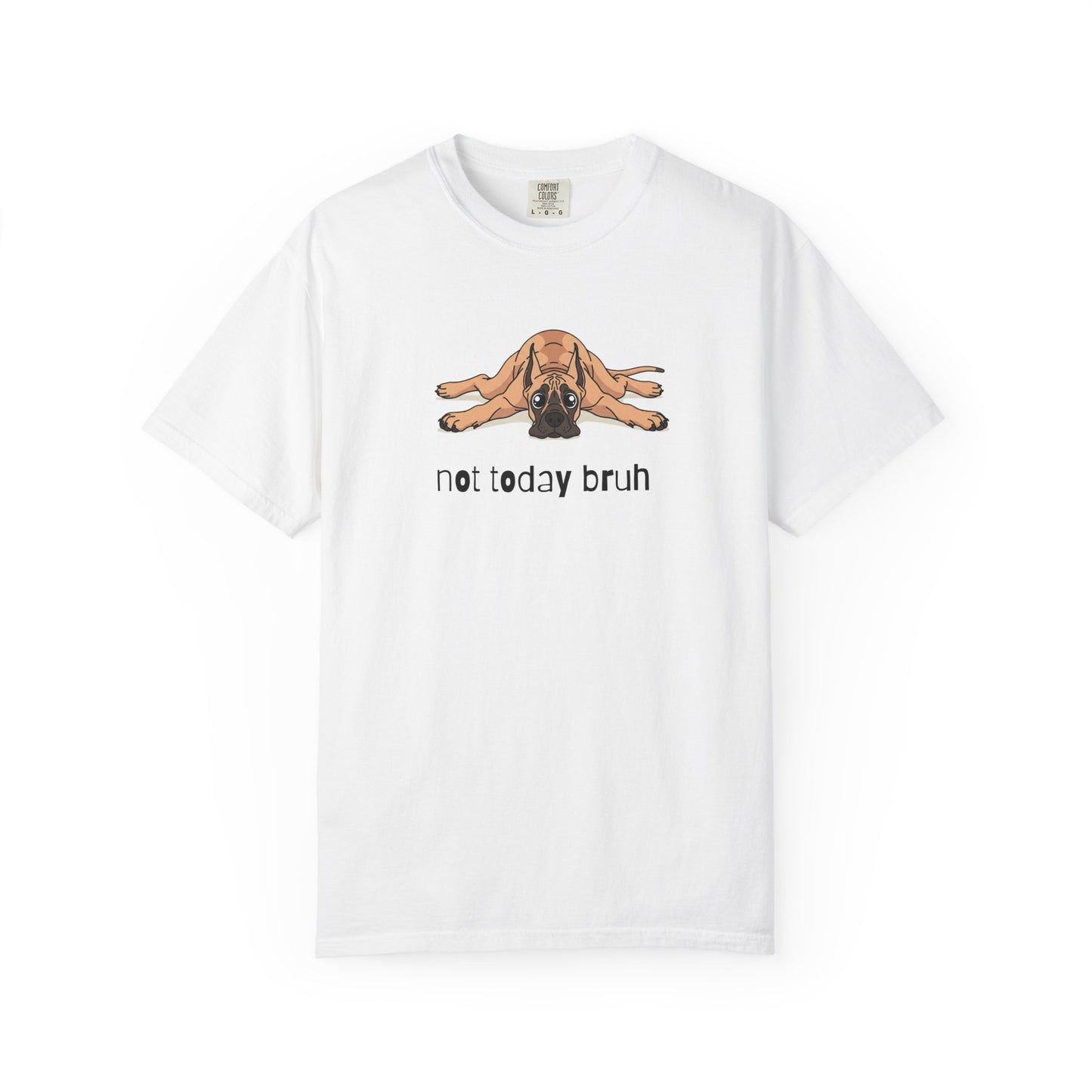 Great Dane Not Today Bruh T-Shirt
