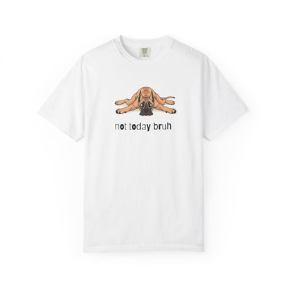 Great Dane Not Today Bruh T-Shirt