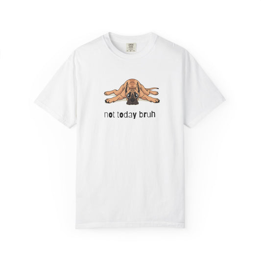 Great Dane Not Today Bruh T-Shirt
