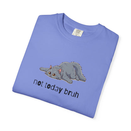 Long hair gray cat Not Today Bruh T-Shirt