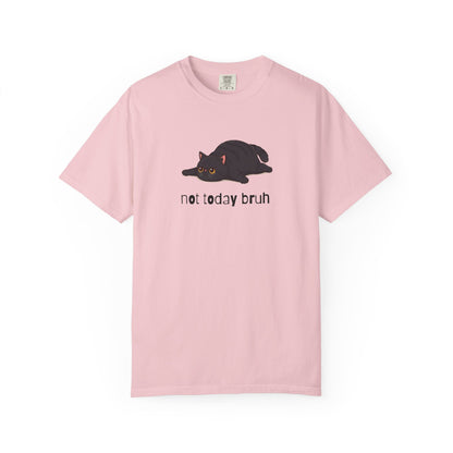 Exotic Shorthair Not Today Bruh T-Shirt