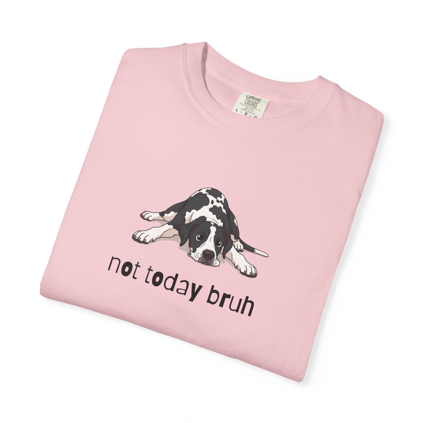 Great Dane Not Today Bruh T-Shirt