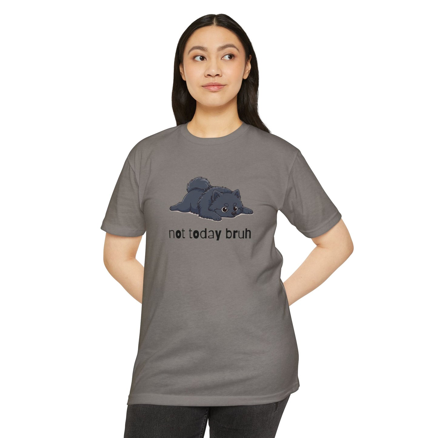 Pomeranian "Not Today" Relaxed Tee | Gift for Pet Lovers