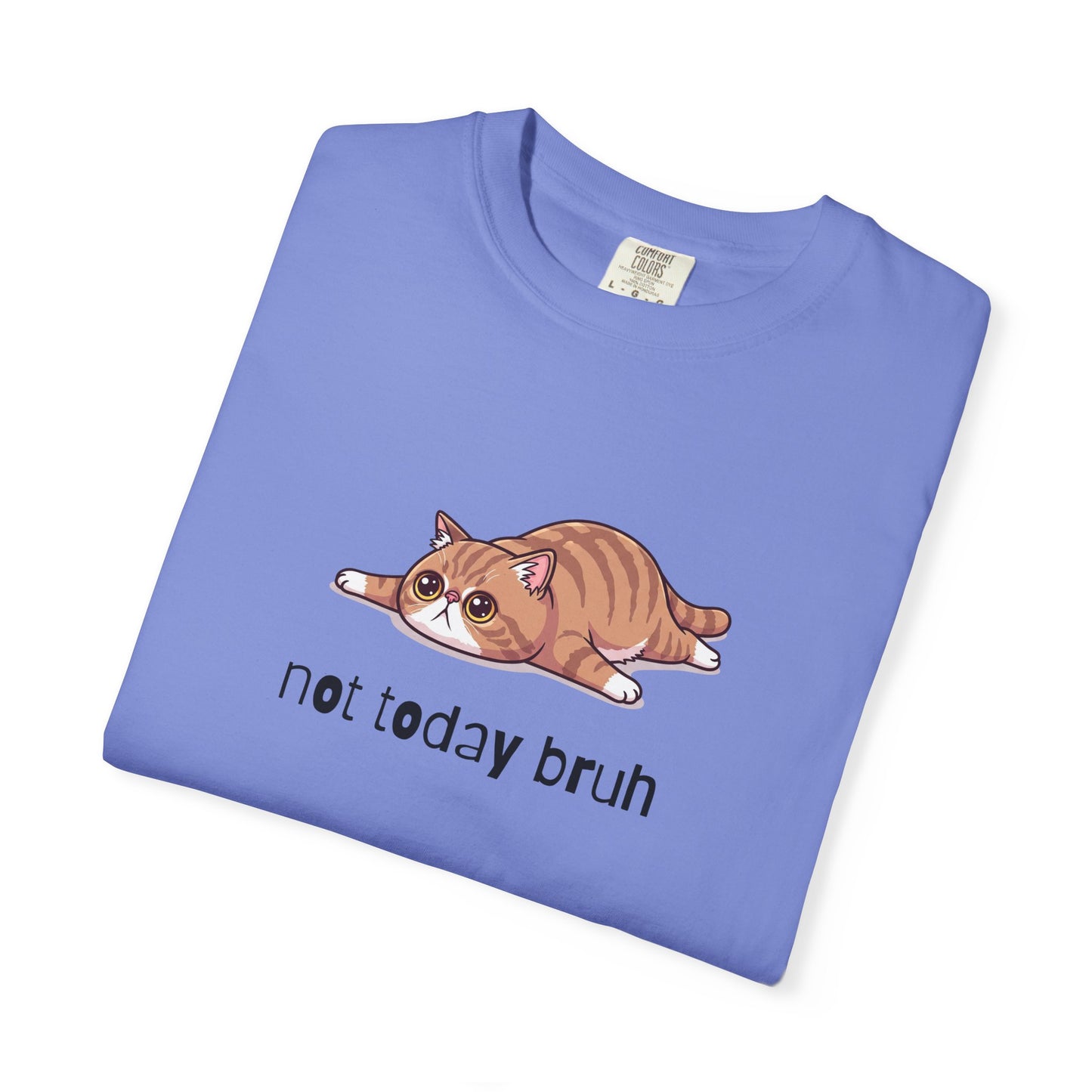 Exotic Shorthair Not Today Bruh T-Shirt
