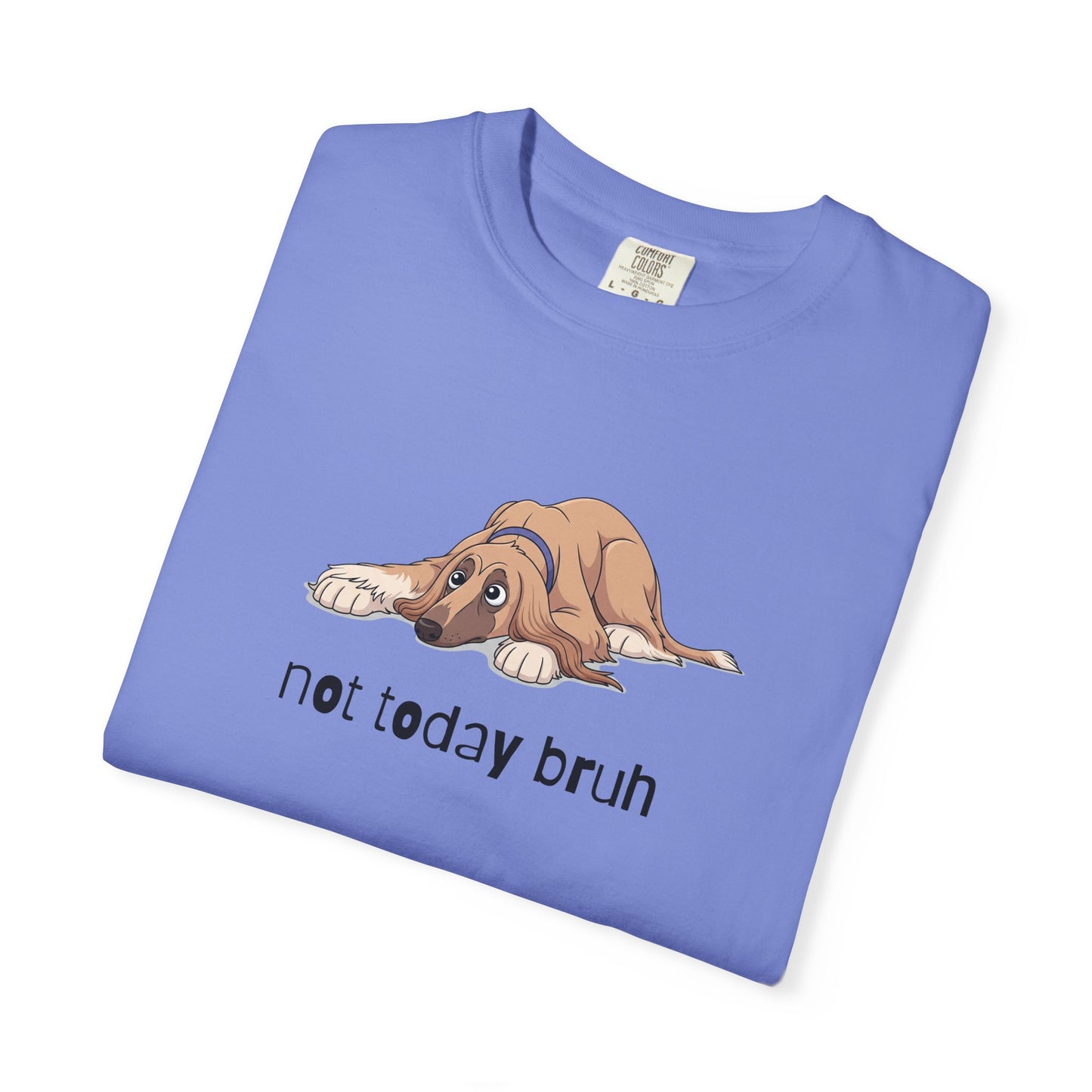 Afghan Hound Not Today Bruh T-Shirt