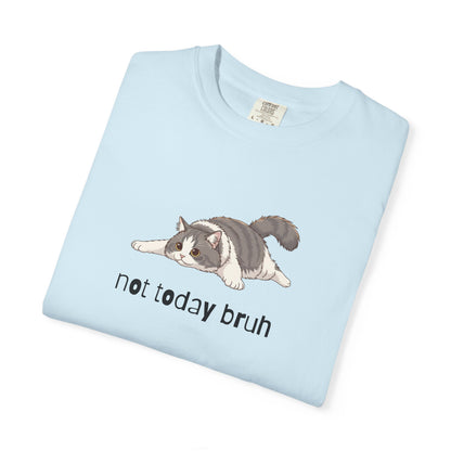 Long hair bi-color gray cat Not Today Bruh T-Shirt