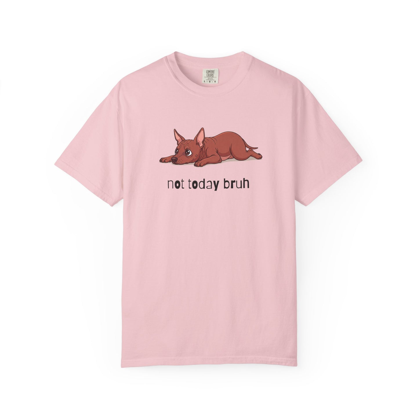 Hairless Dog Not Today Bruh T-Shirt