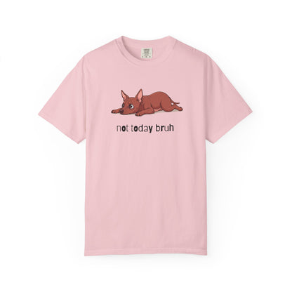 Hairless Dog Not Today Bruh T-Shirt