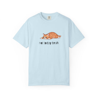 Short hair bi-color orange cat Not Today Bruh T-Shirt