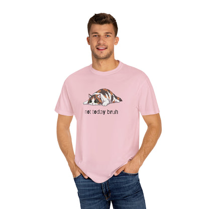 Long hair calico cat Not Today Bruh T-Shirt