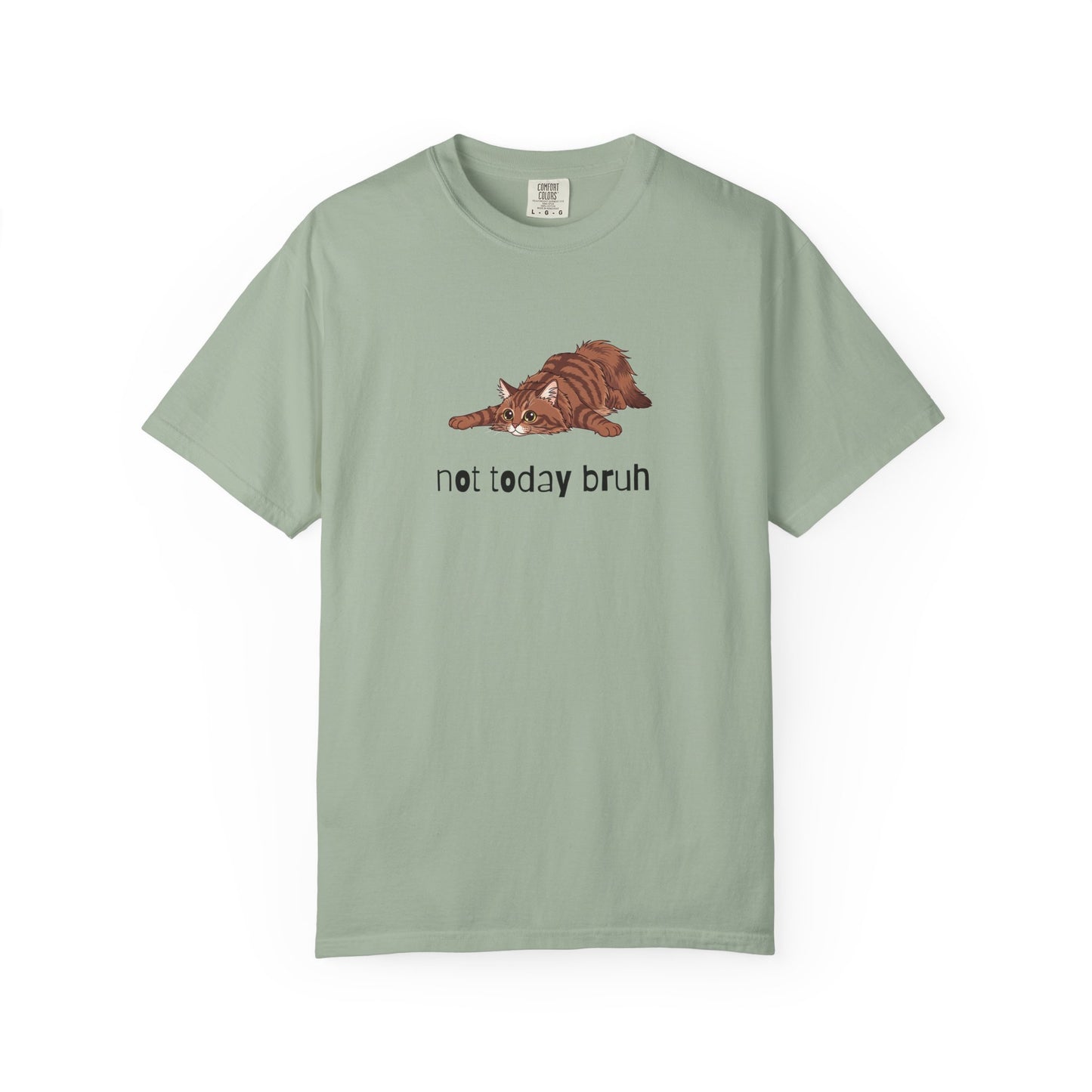 Long hair brown tabby cat Not Today Bruh T-Shirt