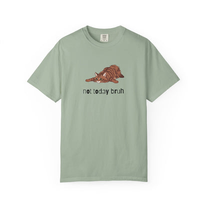Long hair brown tabby cat Not Today Bruh T-Shirt